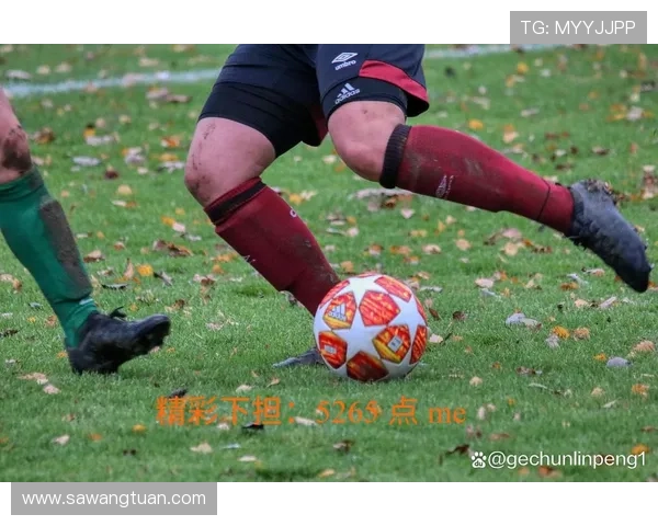 开云体育app功能介绍全面解析提供丰富赛事资讯与即时比分 开云体育app功能介绍全面解析提供丰富赛事资讯与即时比分