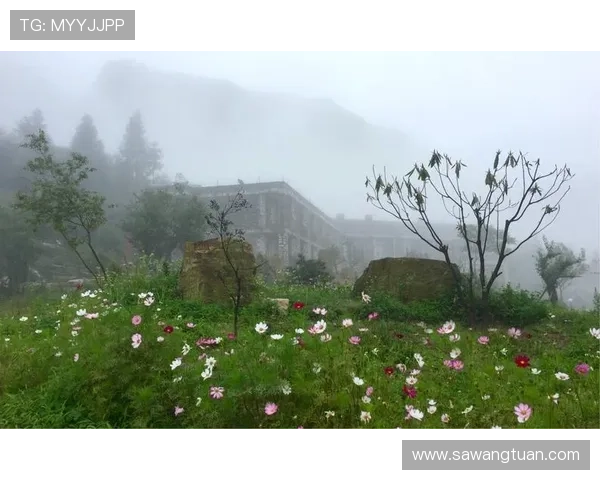 开云下载常见问题解答，解决用户在下载过程中遇到的各种疑难问题