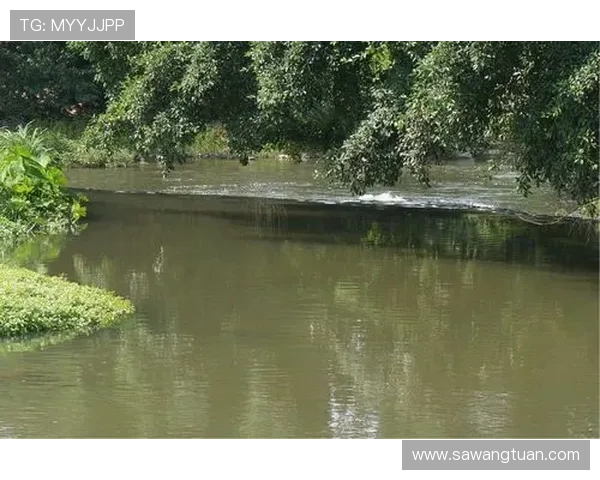 云开开户下载官网安全可靠下载资源汇总助你快速完成云账户注册与登录