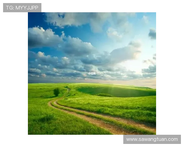 开运网站app带来好运气,让你的每天充满积极能量