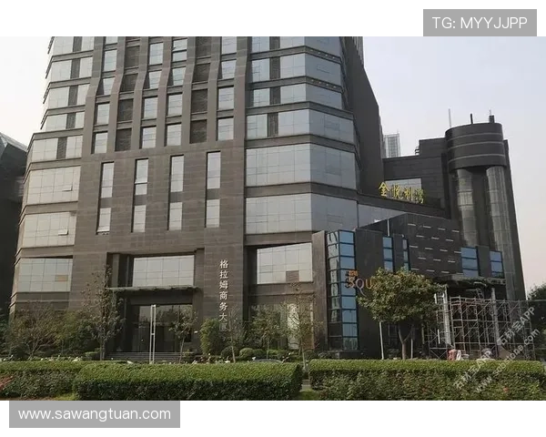 问鼎国际入口：打造企业全球影响力的战略性入口渠道