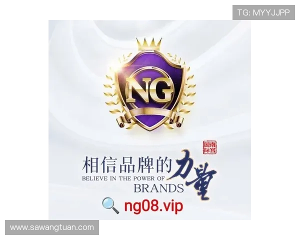 问鼎国际PG官网入口：官方入口安全验证措施及防止账号被盗的实用建议