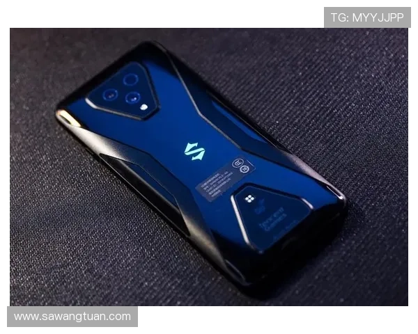 问鼎电脑版官网网址在哪儿，详细网址入口及使用说明分享